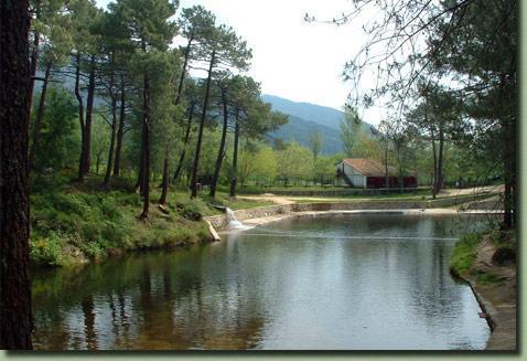 Casa Rural De La Parra La Adrada Exteriér fotografie